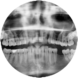 odontologia jerez